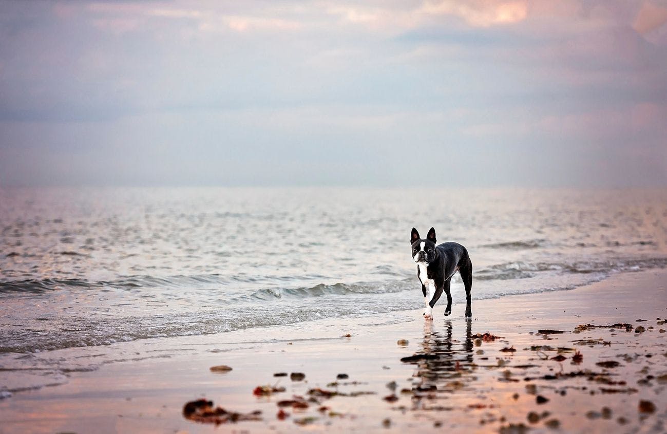 九十九里浜で散歩