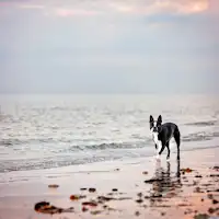 九十九里浜で散歩