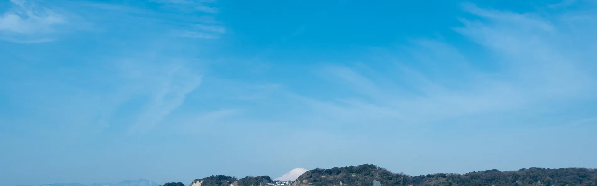琥珀-AMBER-
