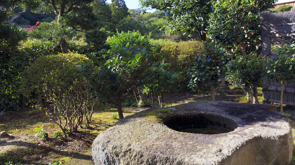Daikadou Nakamura Residence