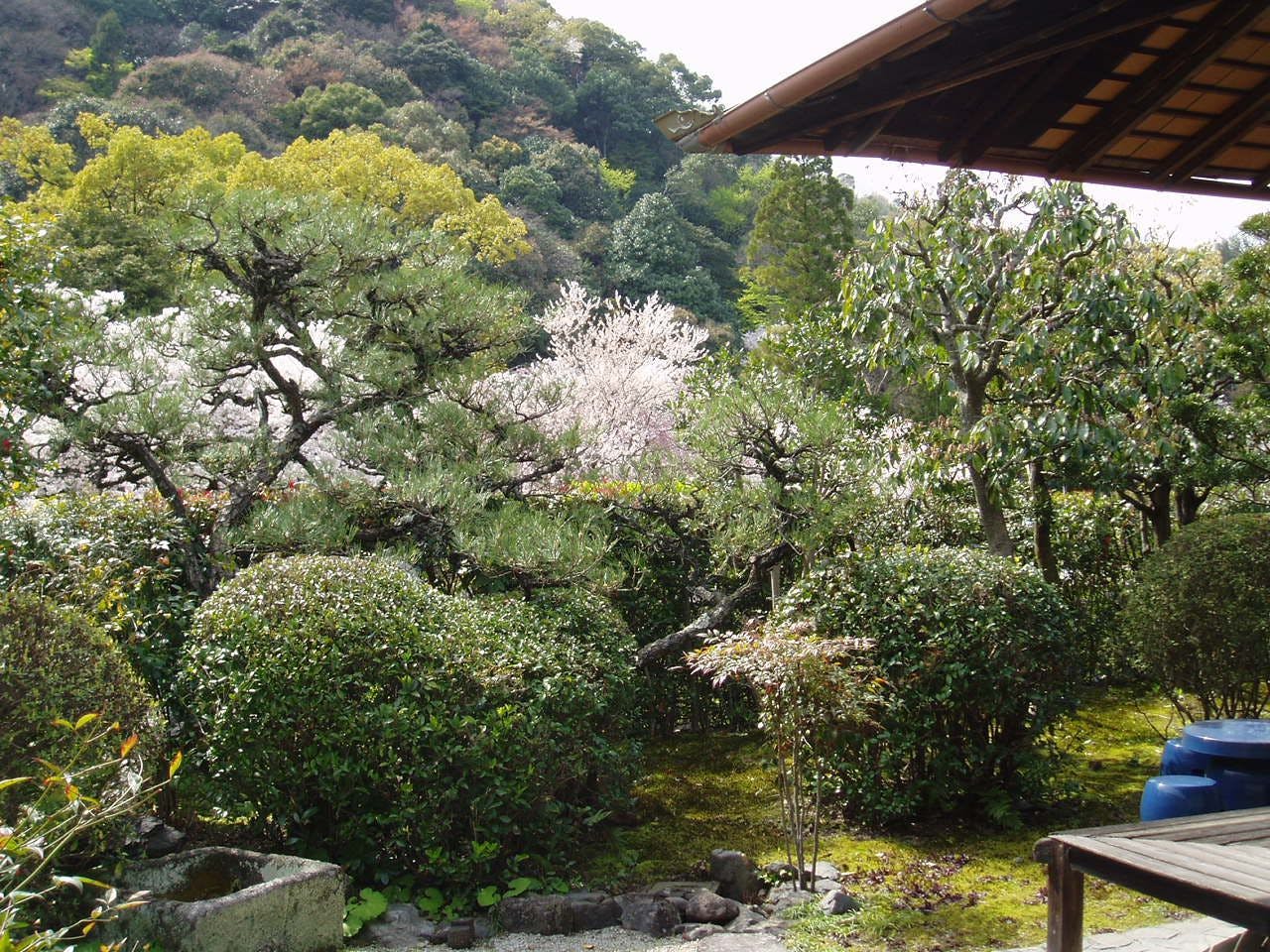 大歌堂中村邸