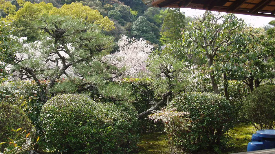Daikadou Nakamura Residence