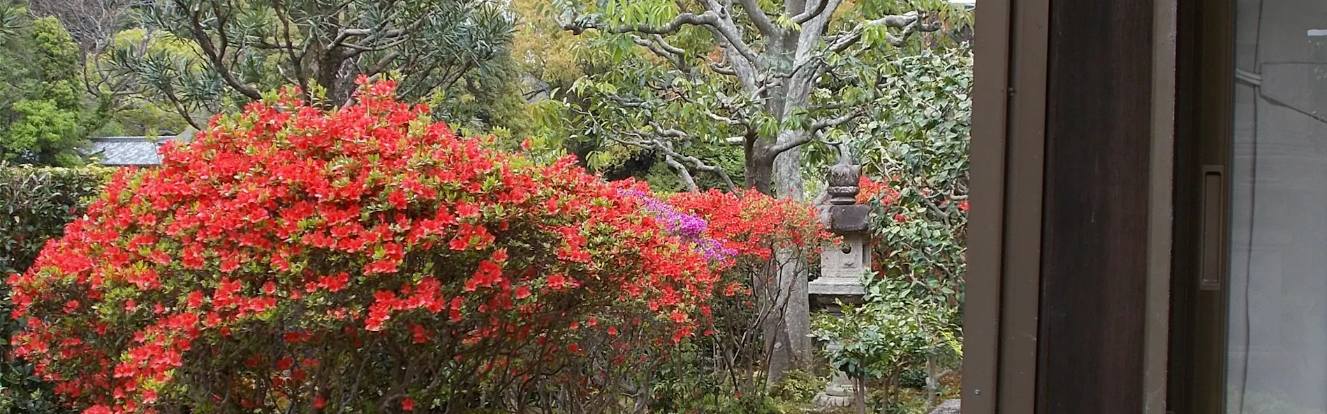 大歌堂中村邸