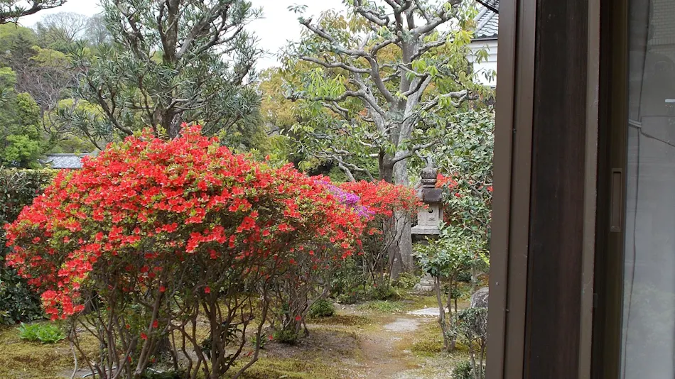 Daikadou Nakamura Residence
