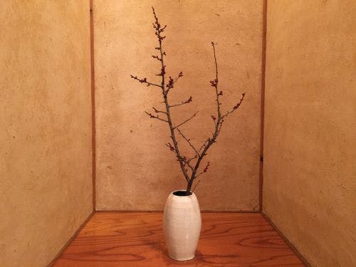 床の間　季節の花