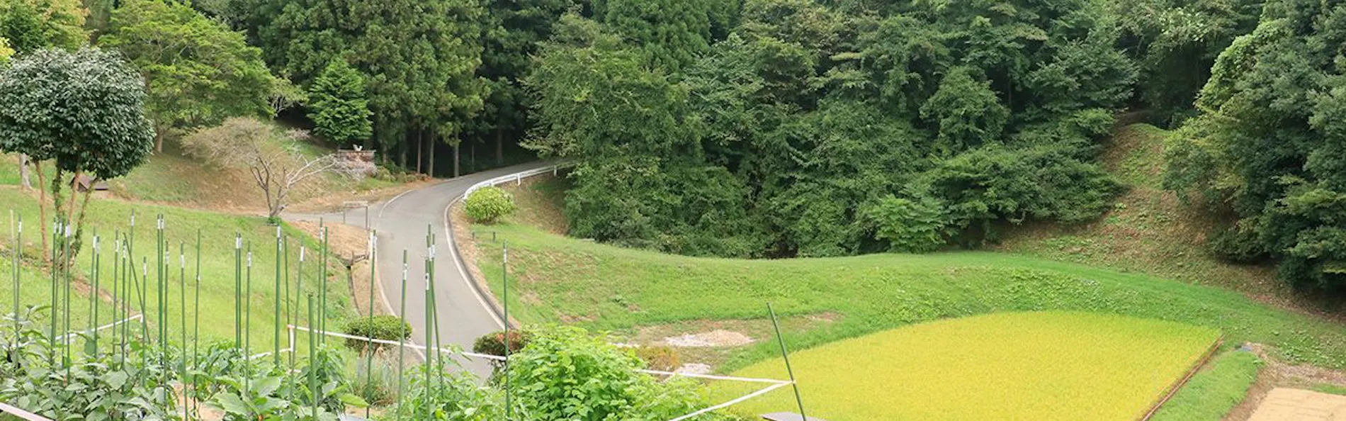 農家体験民宿 古民家 薄衣