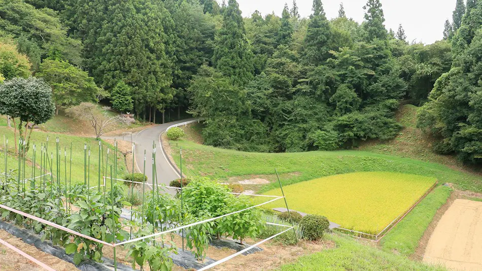 Farm Experience Inn Kominka Usugoromo