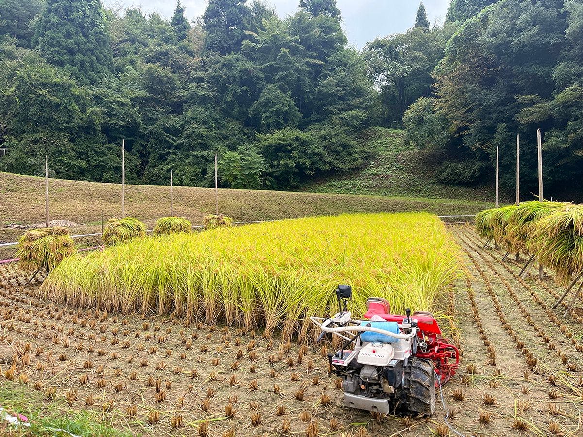 農家体験民宿　古民家　薄衣