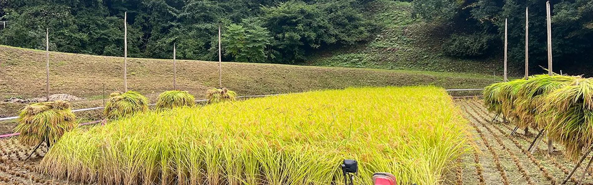 農家体験民宿 古民家 薄衣