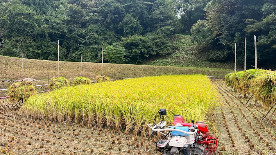 Farm Experience Inn Kominka Usugoromo