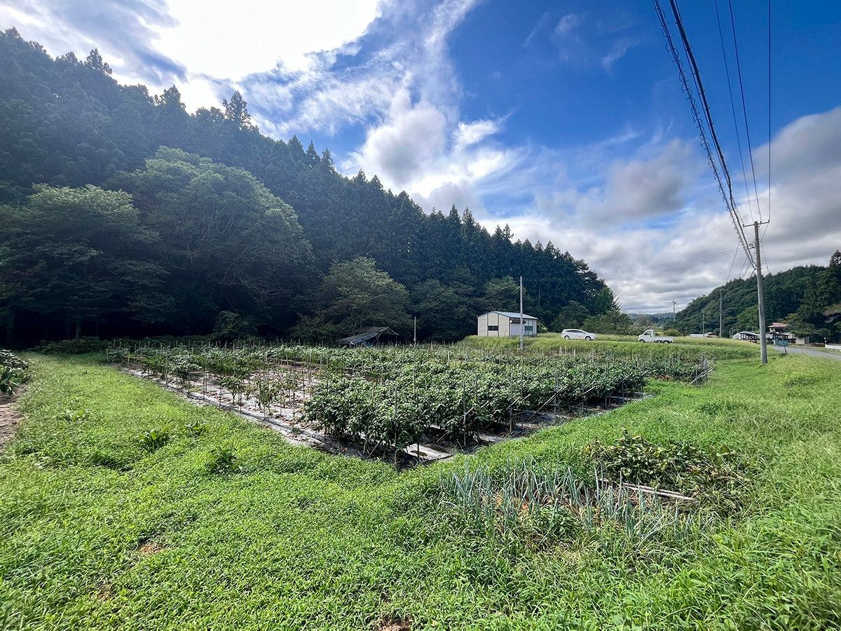 農家体験民宿　古民家　薄衣