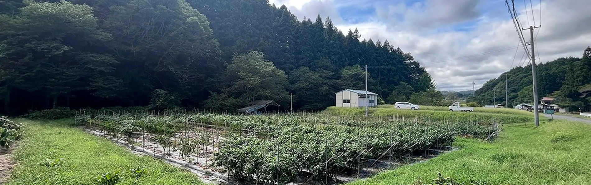 農家体験民宿 古民家 薄衣