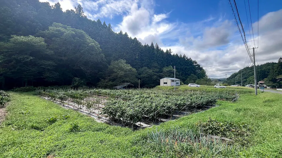 Farm Experience Inn Kominka Usugoromo