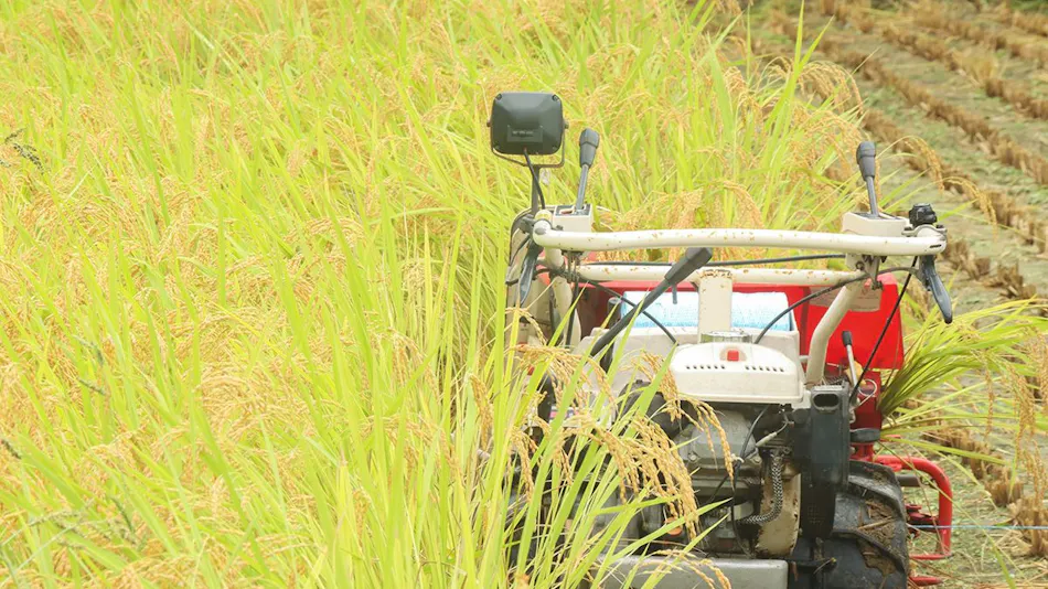 Farm Experience Inn Kominka Usugoromo