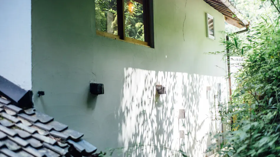 ume,yamazoe