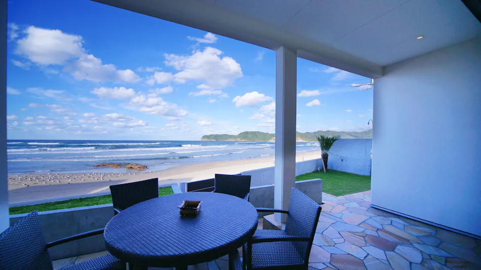 INDIGO HOUSE DS1
