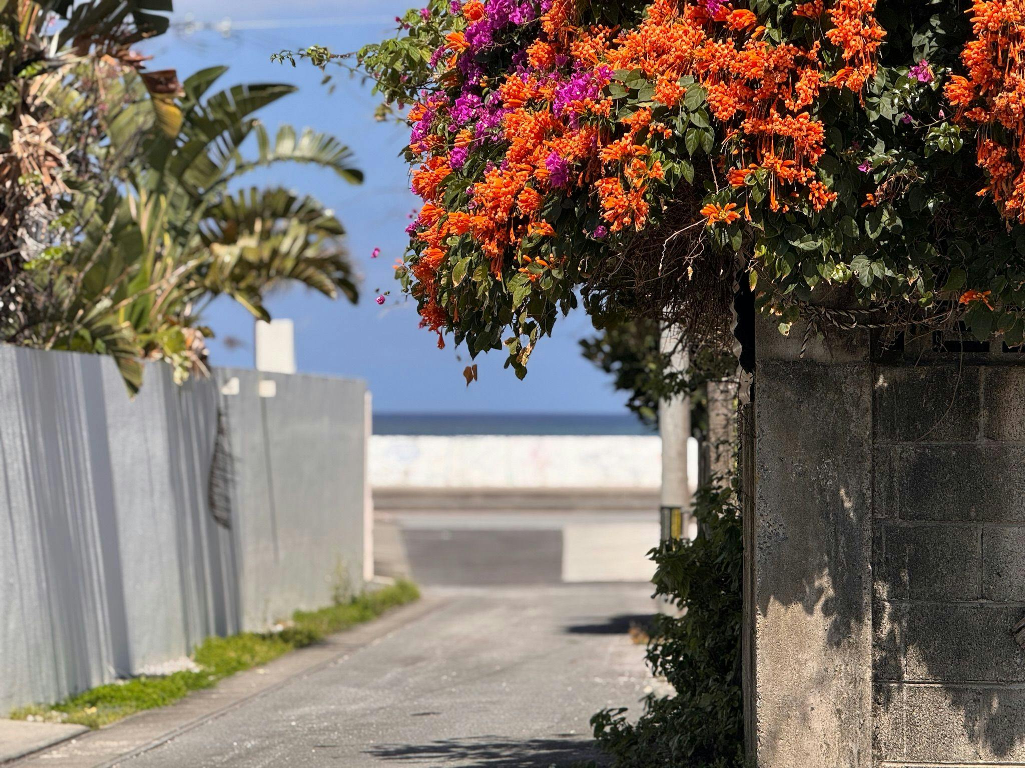 自然が美しい読谷村のリゾートエリア