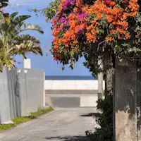 自然が美しい読谷村のリゾートエリア