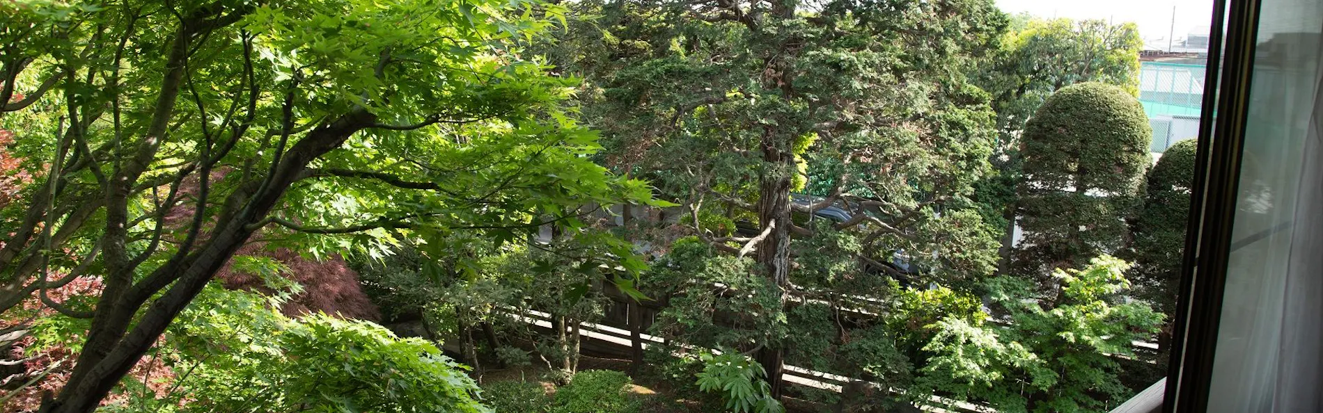 丹徳庭園