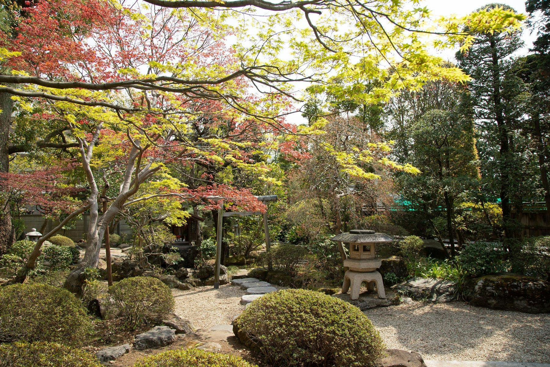 丹徳庭園