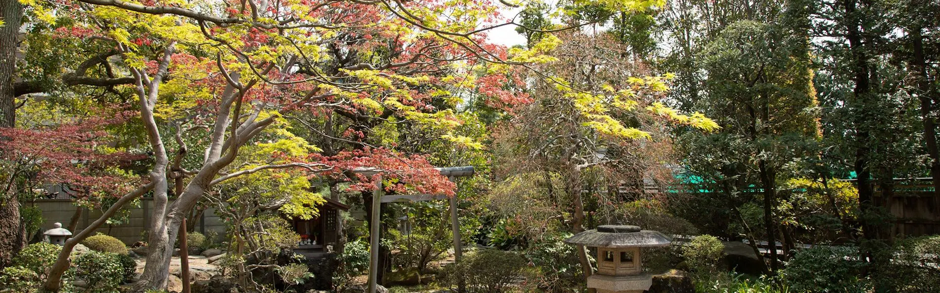 丹徳庭園