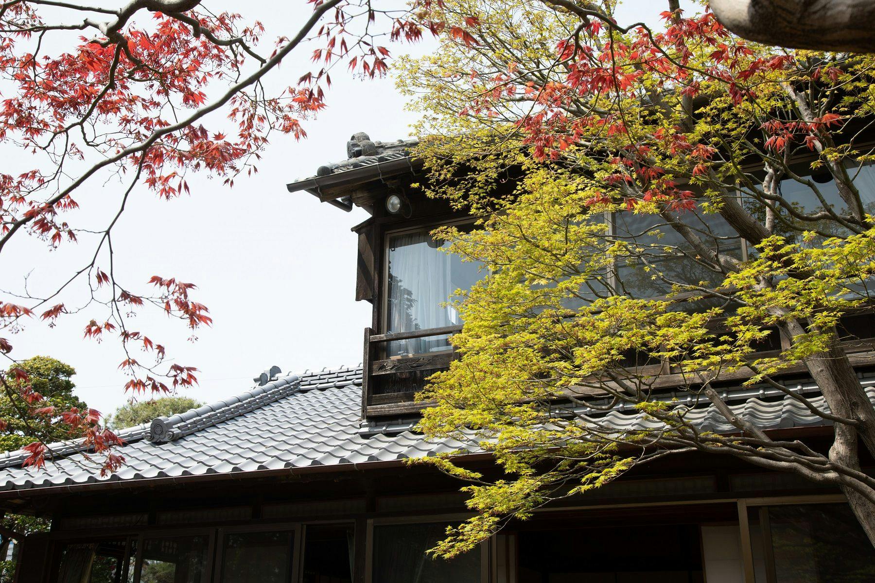 丹徳庭園