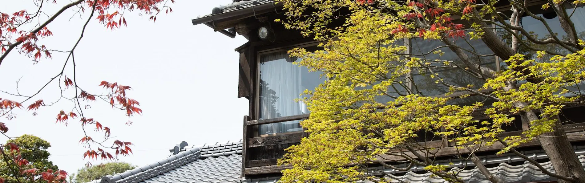 丹徳庭園