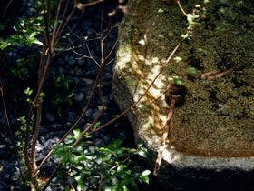 京町宿　馬ごころ　四条大宮邸
