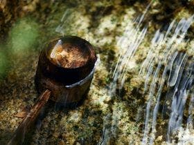 京町宿　馬ごころ　四条大宮邸