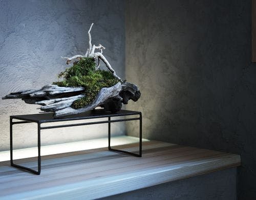 1F床の間のオブジェ