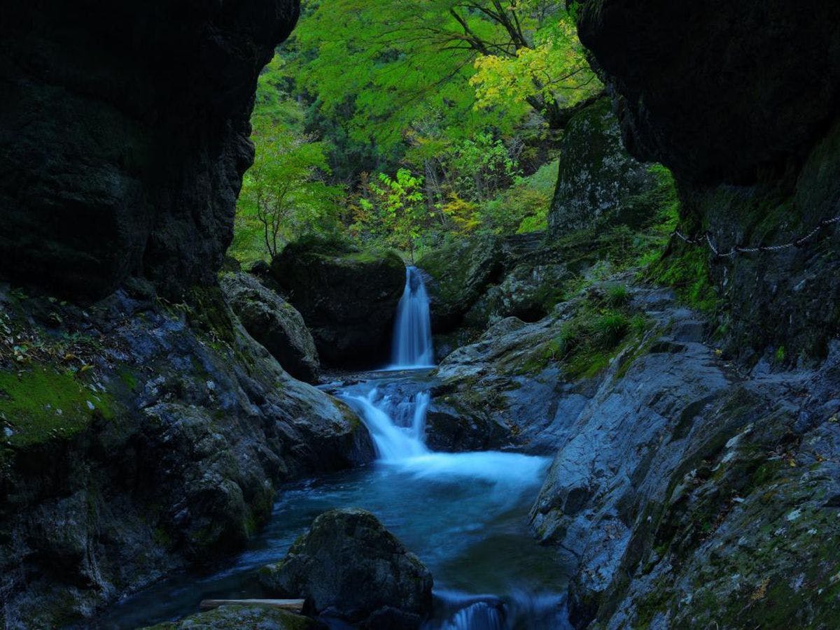 近隣アクティビティ