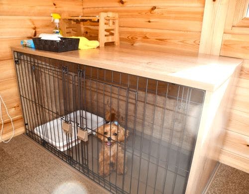 愛犬と泊まれる「ドッグキャビン」