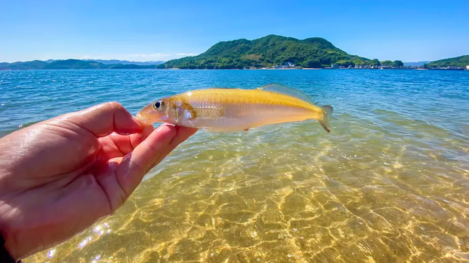 Setouchi Hidden Resort