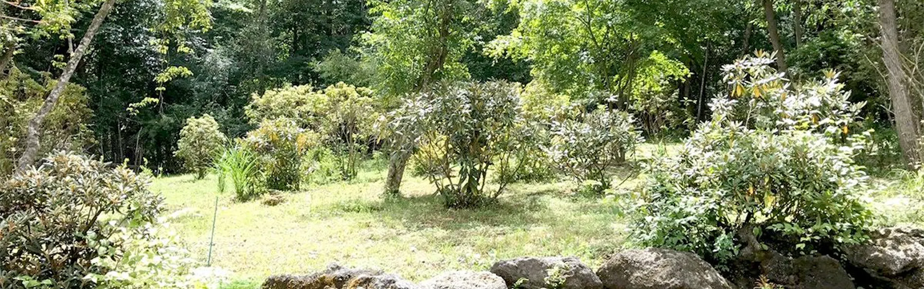 ゲストハウス ペーパームーン