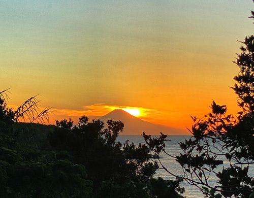 ガーデンからの富士山