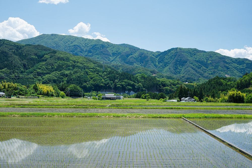 目の前に広がる田園風景