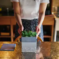 セルフスタイルのご朝食