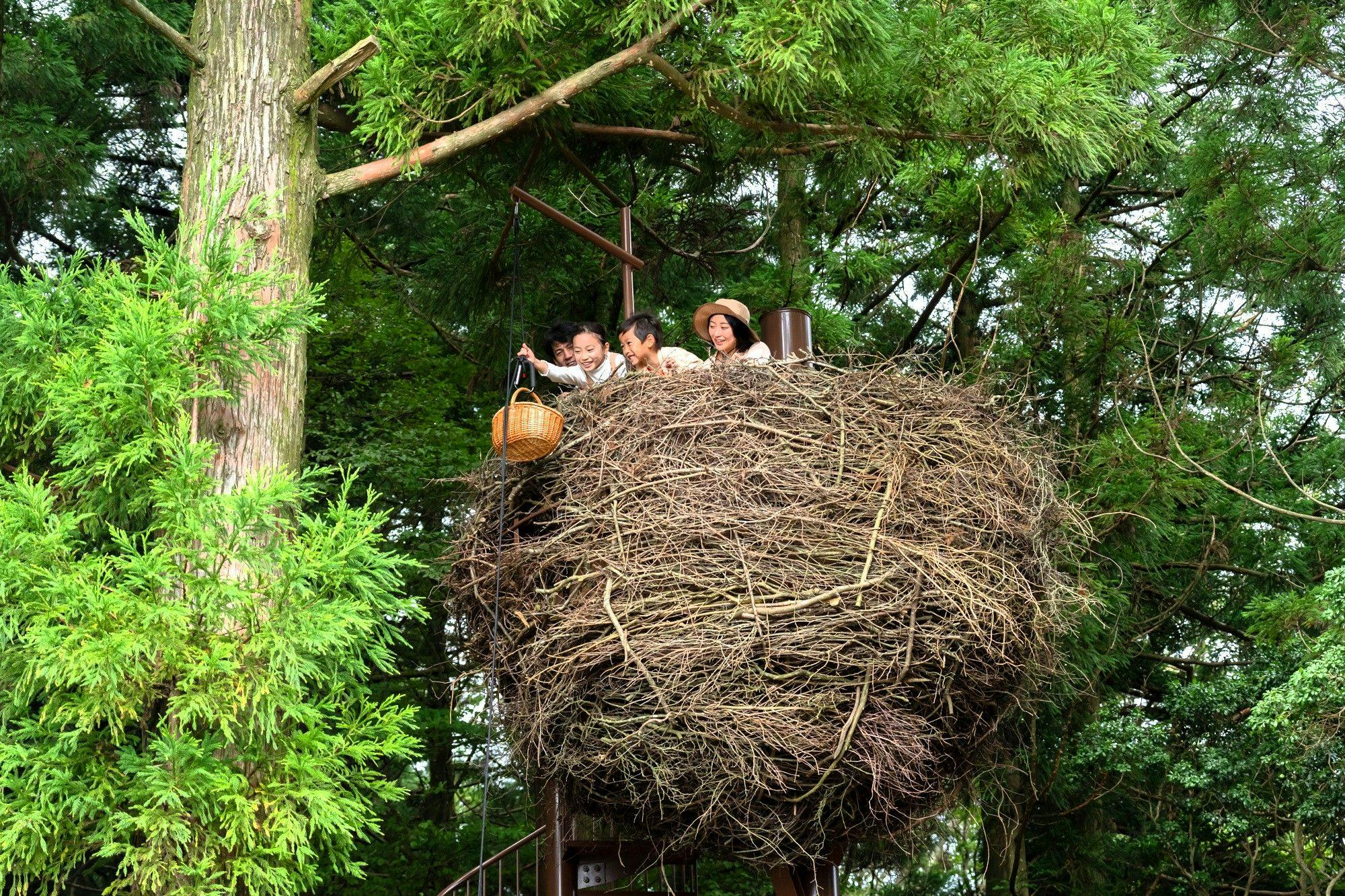 ネイチャーライブ六甲