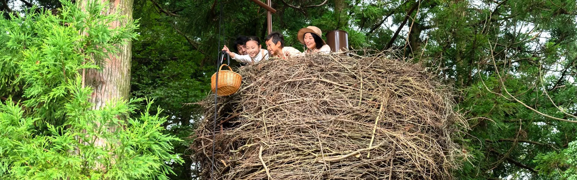 ネイチャーライブ六甲