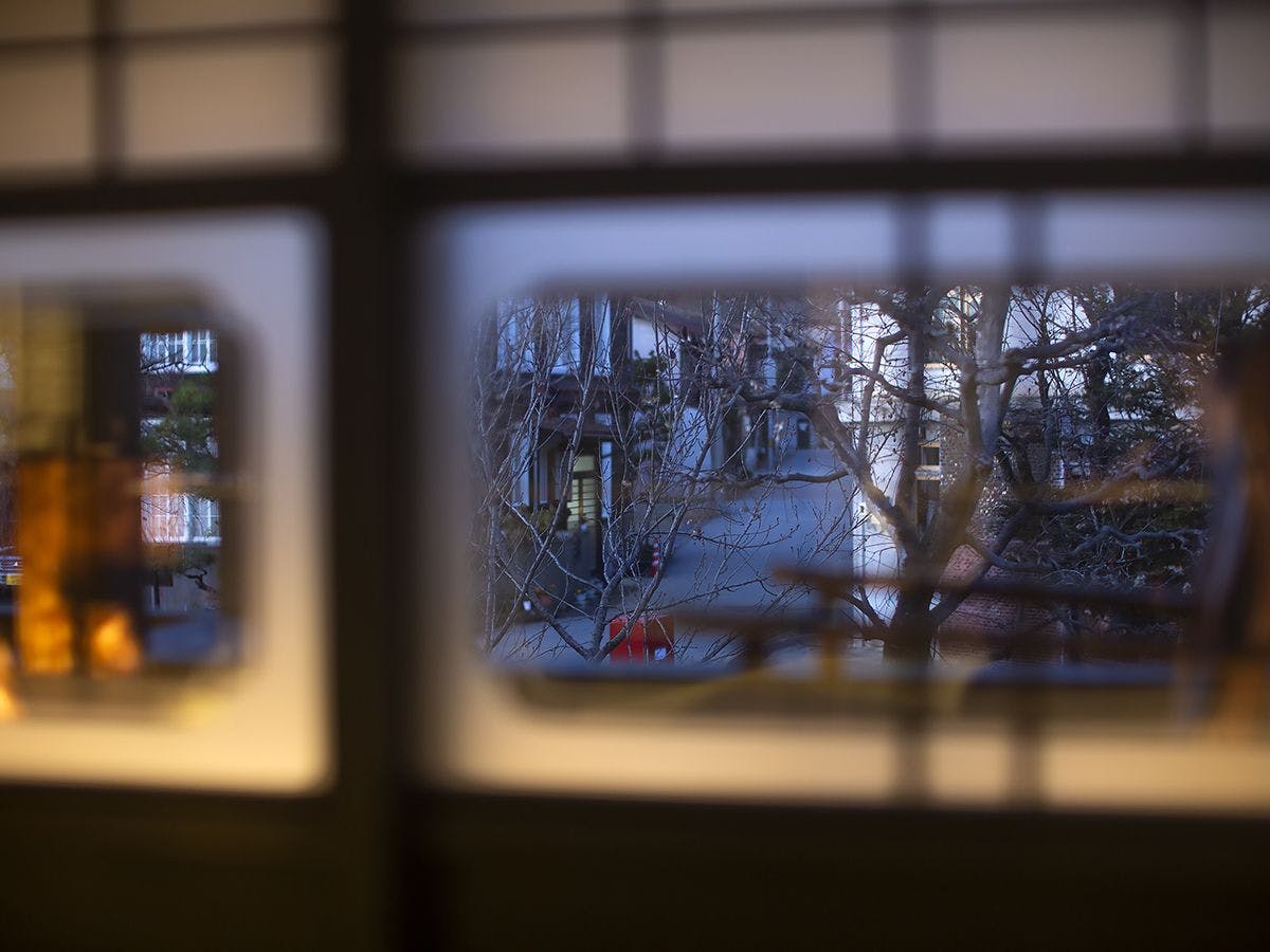 Daun Tersembunyi - Pemandangan Sekitar