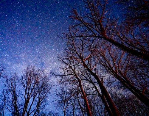 天の川も見える星空
