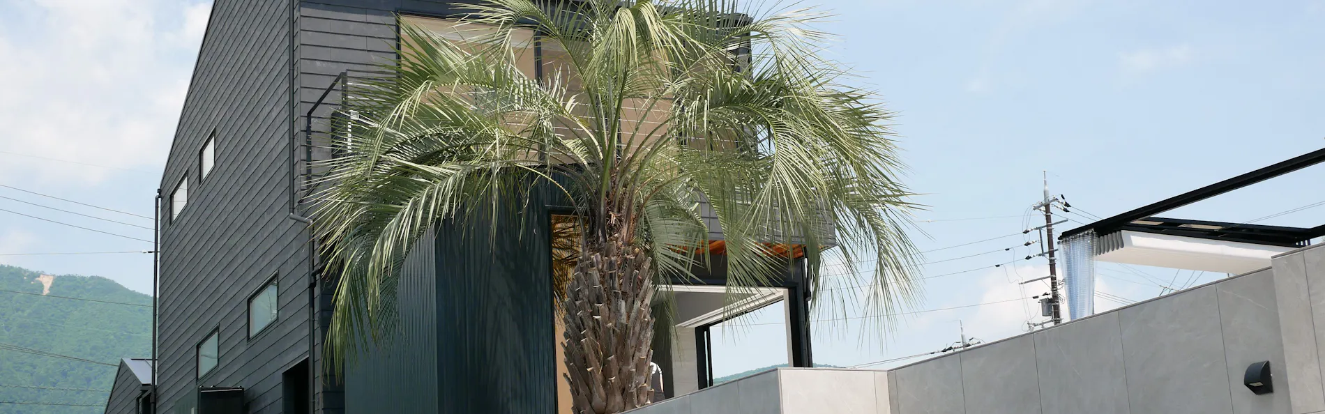 PLATINUM RESORT