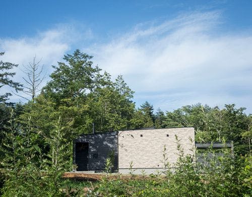 森に佇むest ed.1