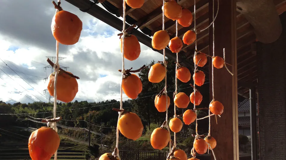 Casa KitsuneAna: Experience Satoyama in a 100-Year-Old Japanese Modern Farmhouse