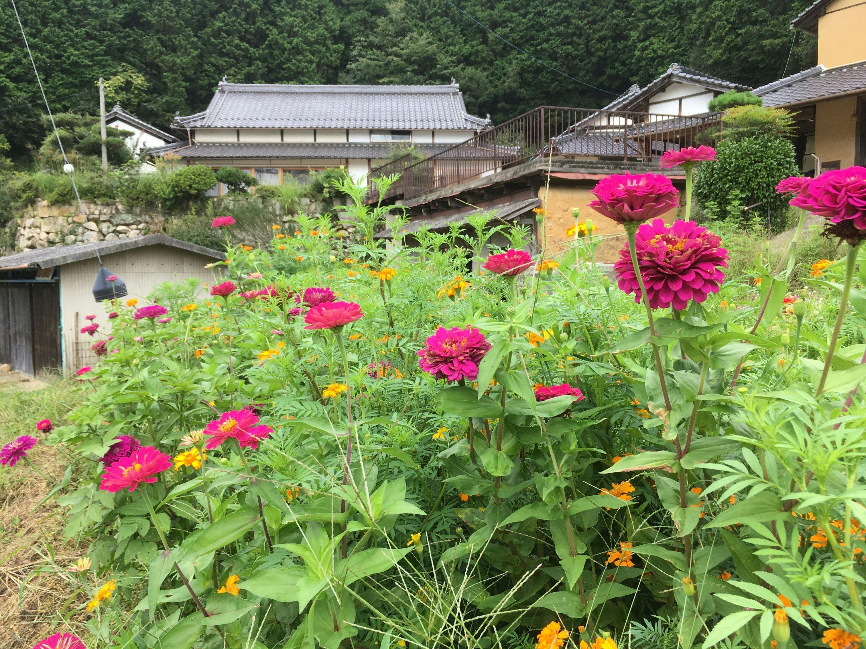 Casa 狐穴 KitsuneAna 和モダンな100年古民家で里山を体験する