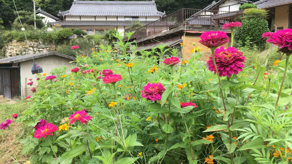 Casa KitsuneAna: Experience Satoyama in a 100-Year-Old Japanese Modern Farmhouse