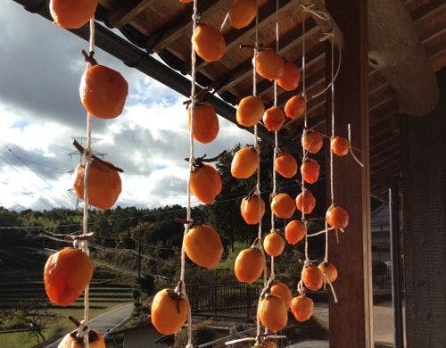 里山の風景（干し柿）
