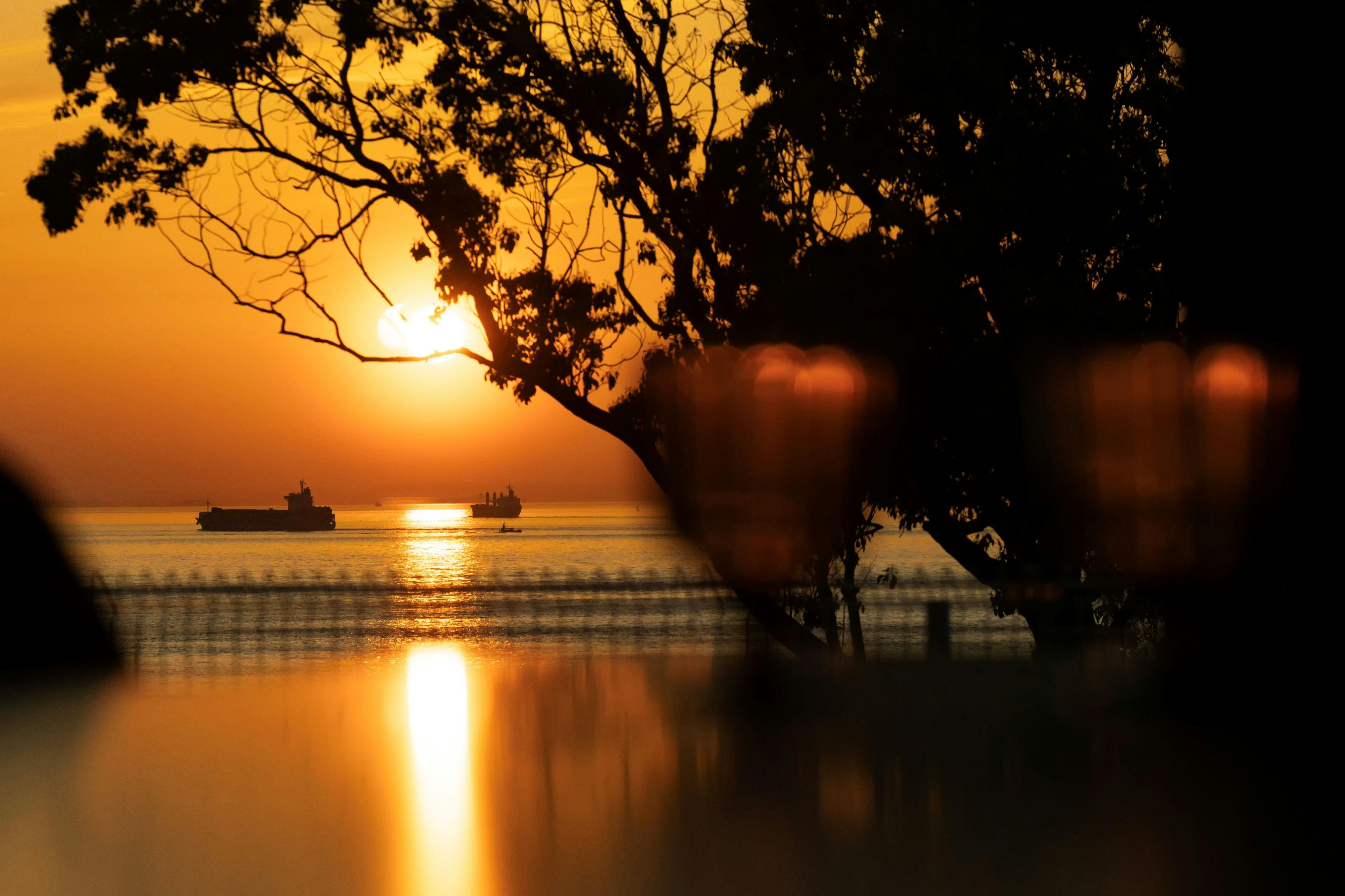 SUNSET DOG VILLAGE 淡路島