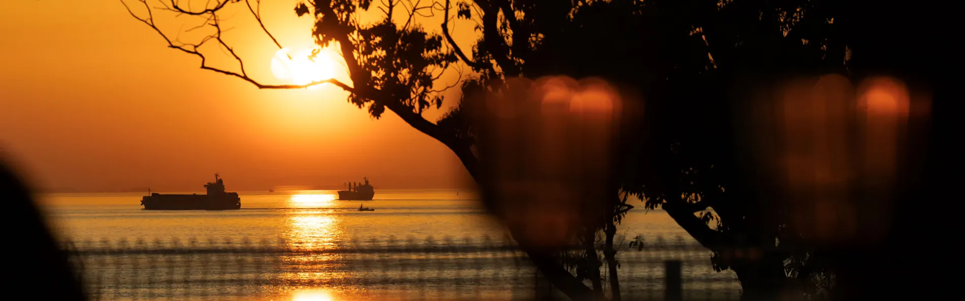 SUNSET DOG VILLAGE 淡路島