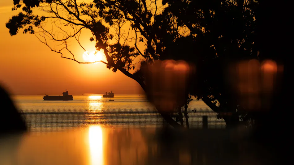 SUNSET DOG VILLAGE Awaji Island